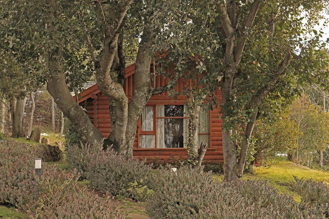 Monasterio Hotel Boutique San Carlos de Bariloche Eksteriør billede